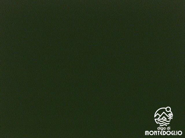 WEBCAM Diga di Montedoglio